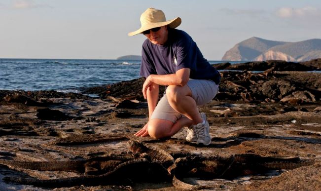 Luxury Travel Adventures in Galapagos Islands